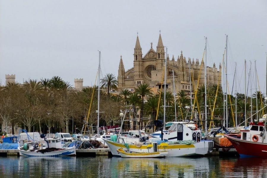 10 Places to Eat + Fun Things to Do in Palma de Mallorca